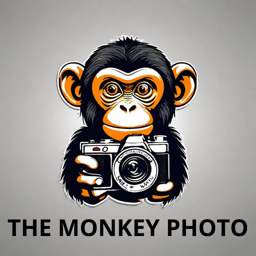 Monkey Photo